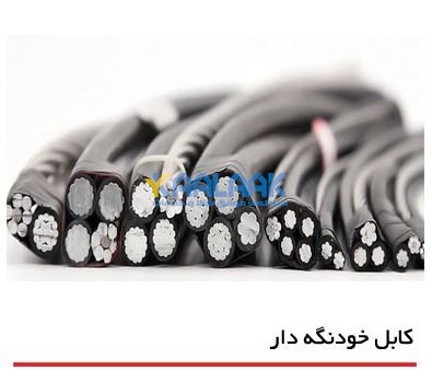 کابل خودنگهدار
